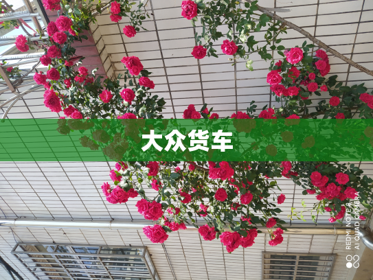 大众货车