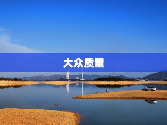 大众质量