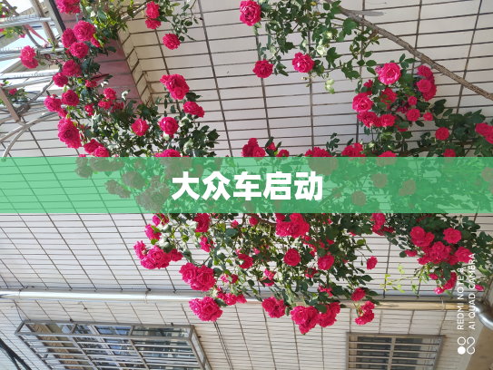 大众车启动