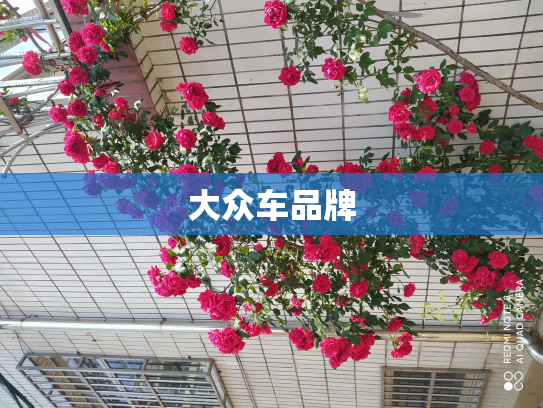 大众车品牌