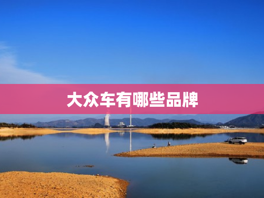 大众车有哪些品牌
