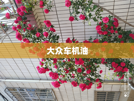 大众车机油