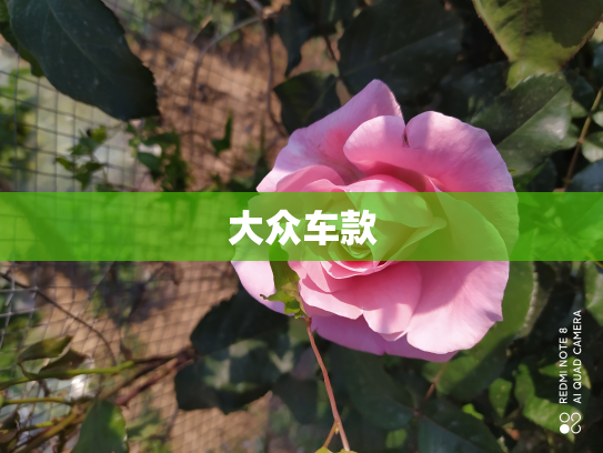 大众车款