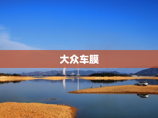 大众车膜