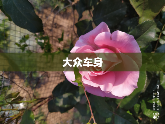大众车身