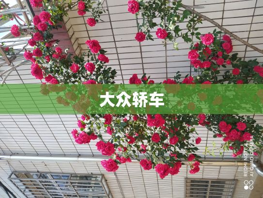 大众轿车