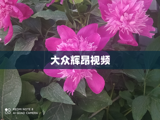 大众辉昂视频