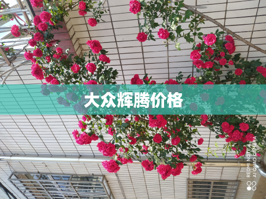 大众辉腾价格