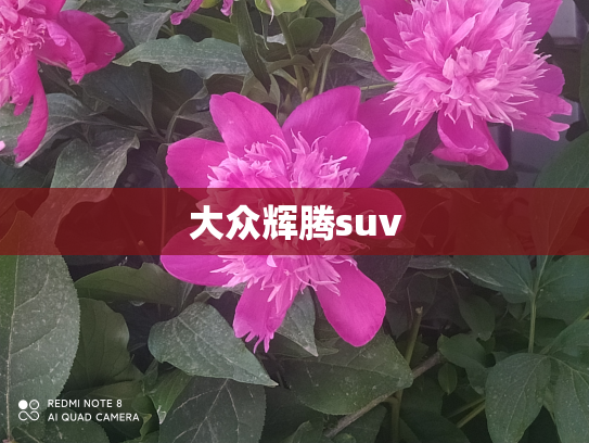 大众辉腾suv