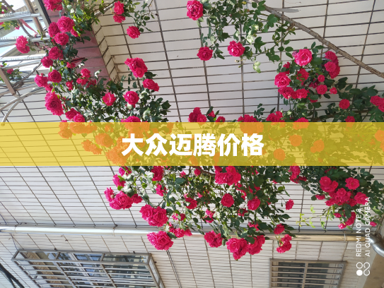 大众迈腾价格