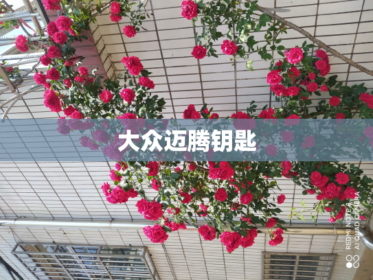 大众迈腾钥匙