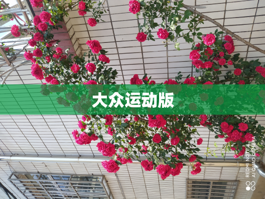 大众运动版