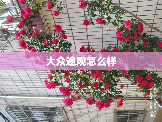 大众途观怎么样