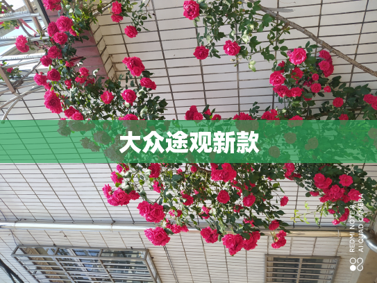 大众途观新款