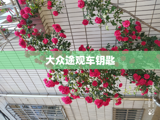 大众途观车钥匙