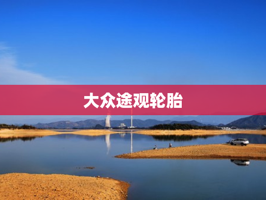 大众途观轮胎