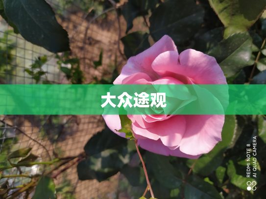 大众途观