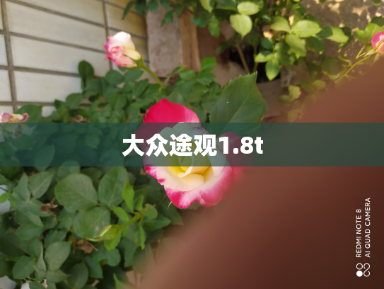 大众途观1.8t