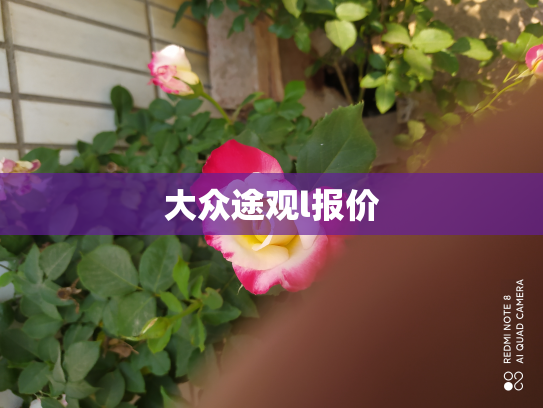 大众途观l报价