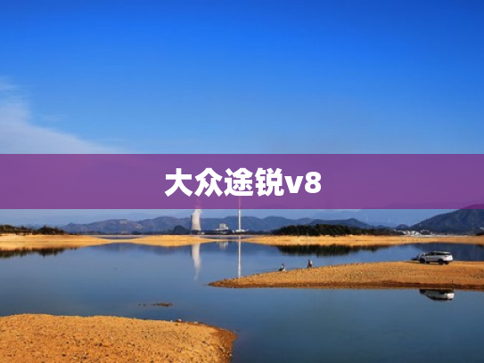 大众途锐v8