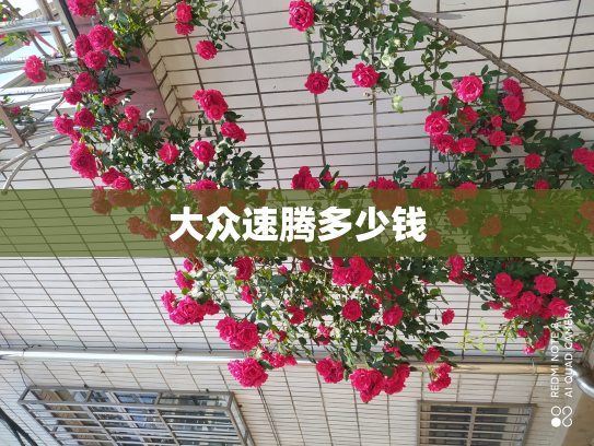 大众速腾多少钱