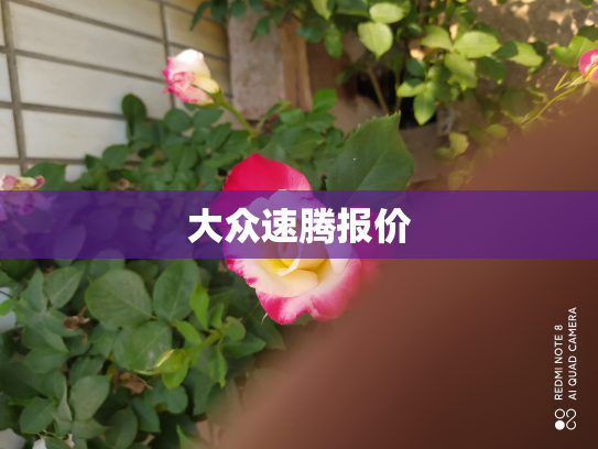 大众速腾报价
