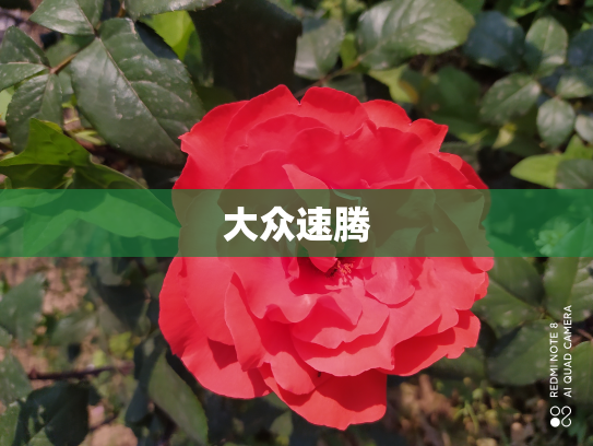 大众速腾