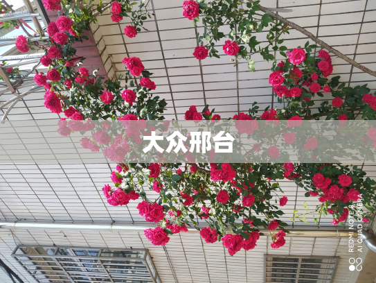 大众邢台