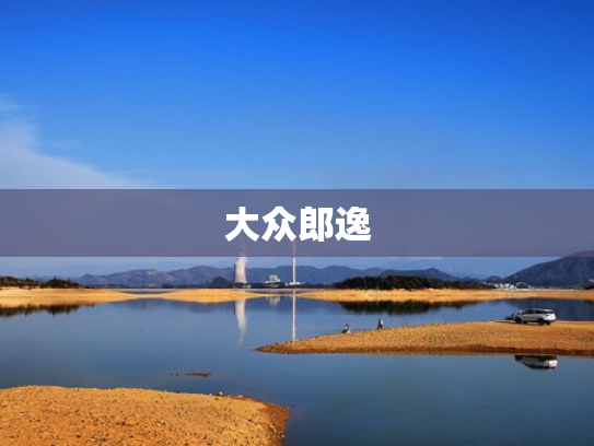 大众郎逸