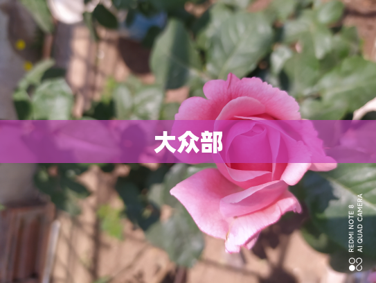 大众部