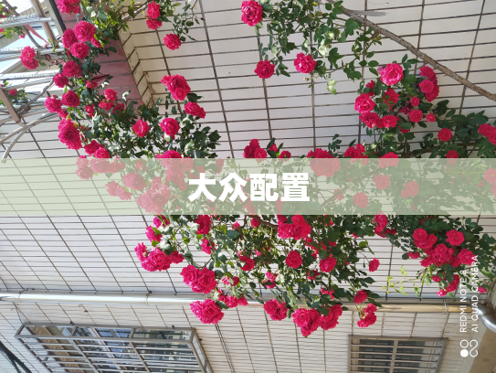 大众配置