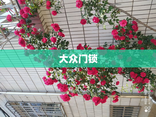 大众门锁
