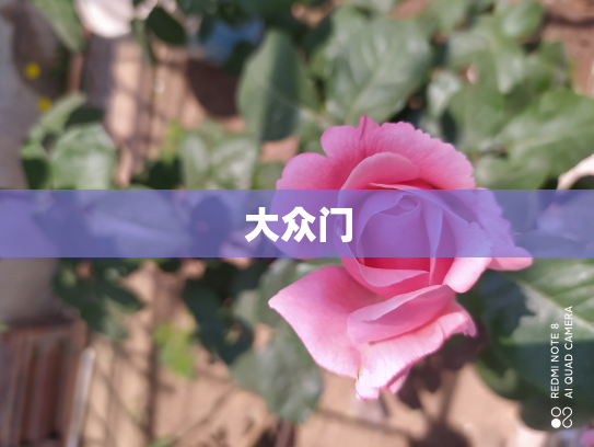 大众门