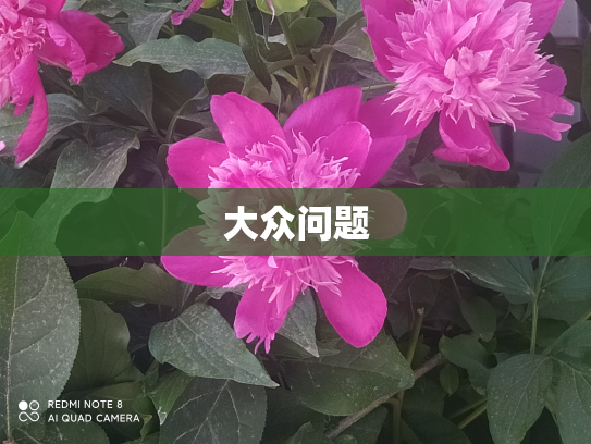大众问题