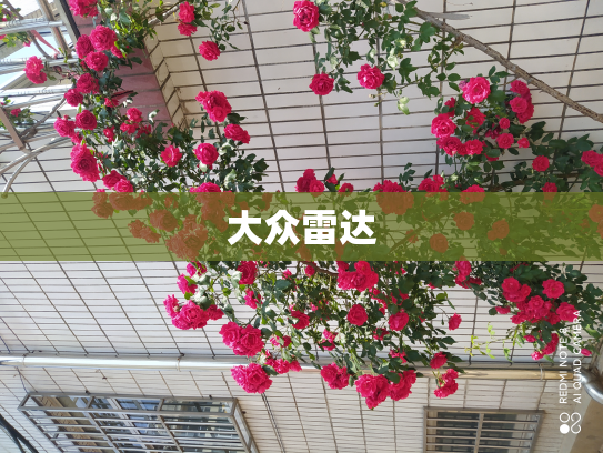 大众雷达
