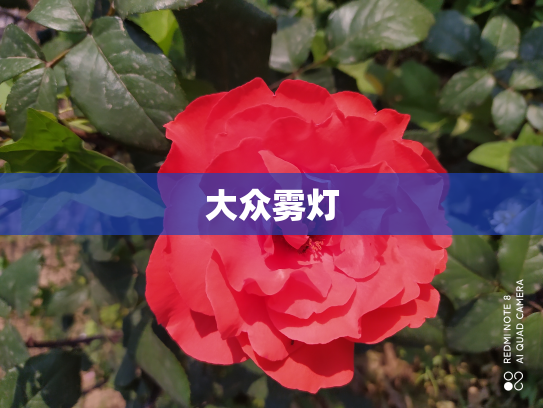 大众雾灯
