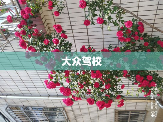 大众驾校