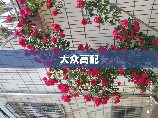 大众高配