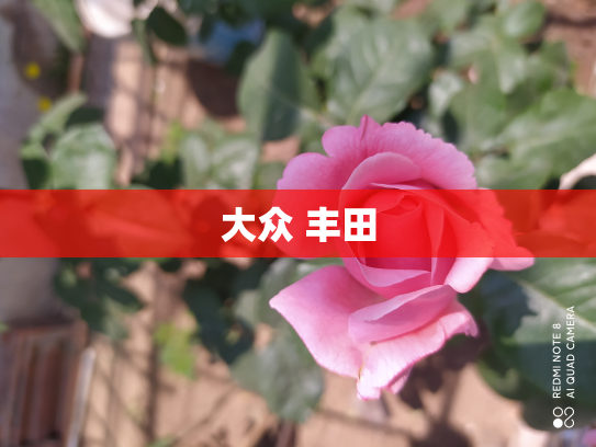 大众 丰田