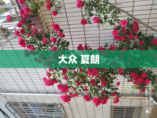大众 夏朗