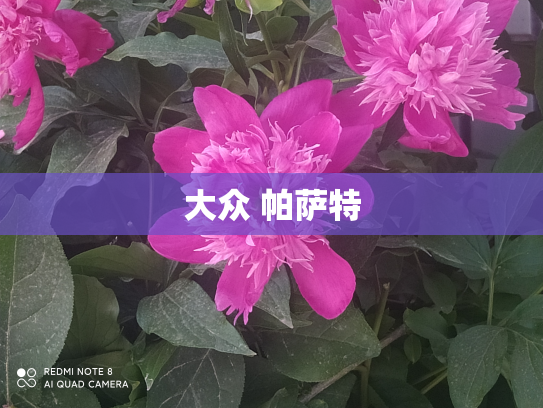 大众 帕萨特
