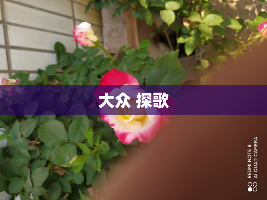 大众 探歌