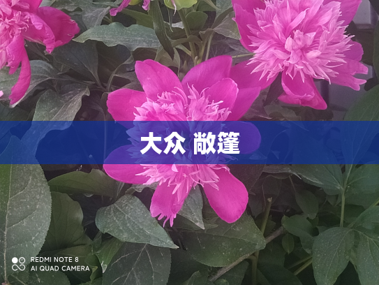 大众 敞篷