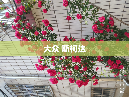 大众 斯柯达