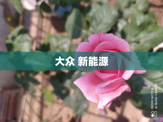 大众 新能源