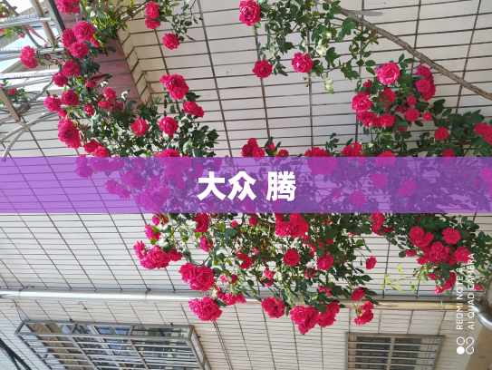 大众 腾