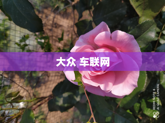 大众 车联网