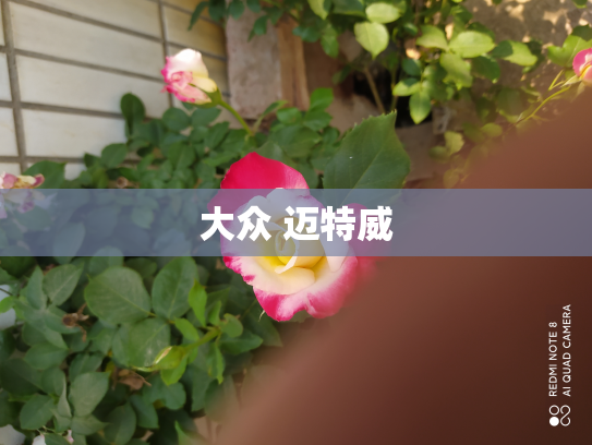 大众 迈特威
