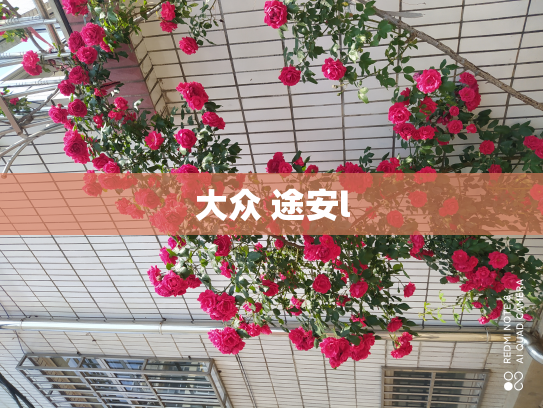 大众 途安l
