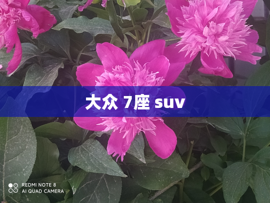大众 7座 suv